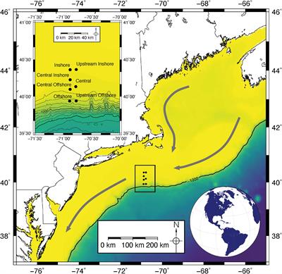 Open Data, Collaborative Working Platforms, and Interdisciplinary Collaboration: Building an Early Career Scientist Community of Practice to Leverage Ocean Observatories Initiative Data to Address Critical Questions in Marine Science